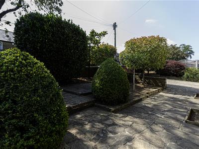 Picture 22